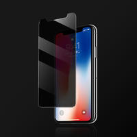 2.5D 9H Hardness Anti-Spy Privacy Tempered Glass Screen Protector For iPhone X/Xs/Xr/Xs Max
